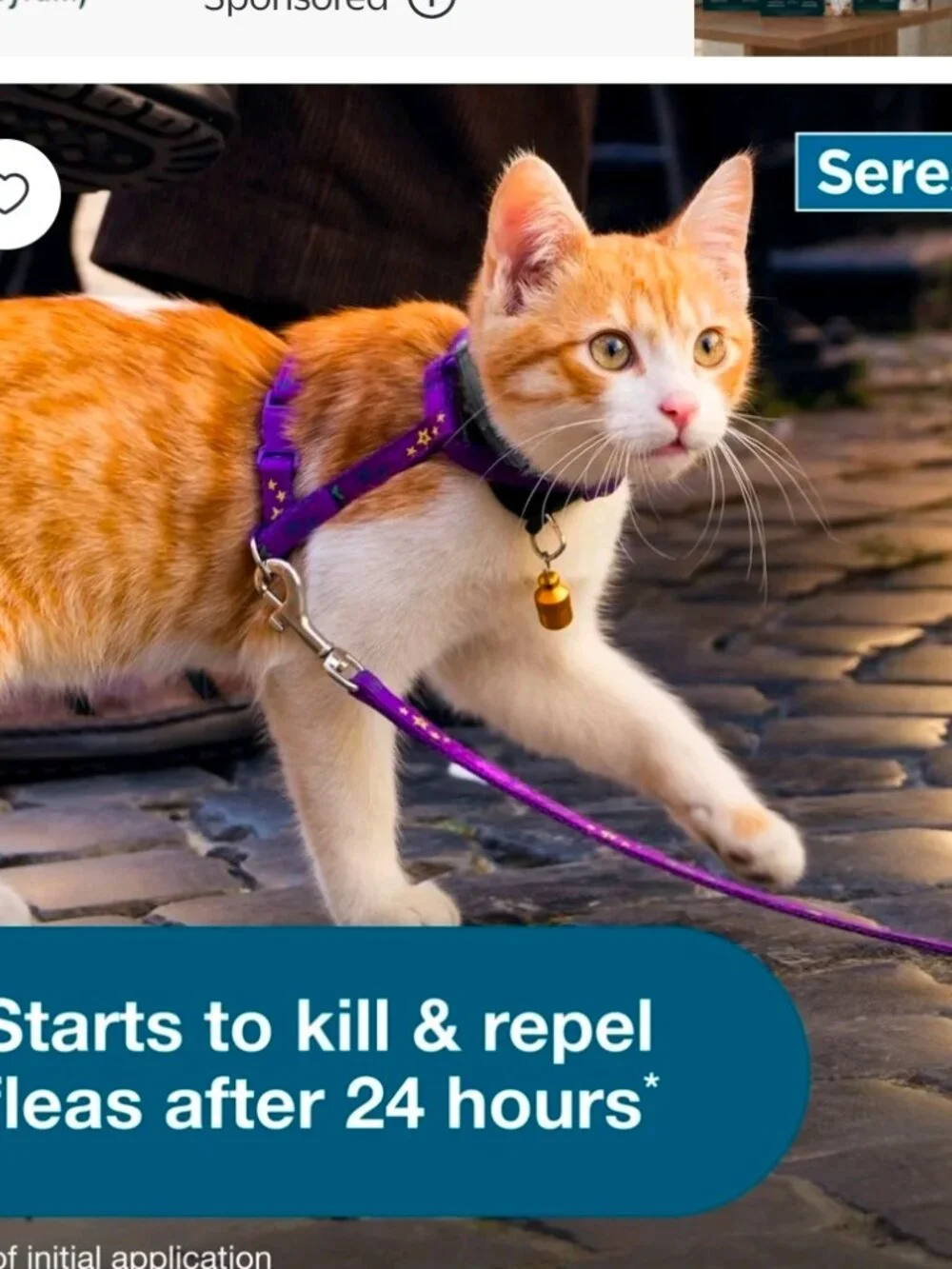 Seresto Flea & Tick Collar For Cats, Vet-Recommended, Protects for 8 Months (2 P